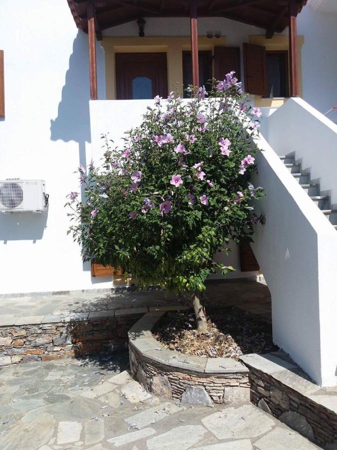 Niki Apartments Panormos  Luaran gambar